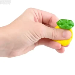 The Toy Network 2