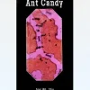 Online Hotlix Ant Candy with Real Black Ants