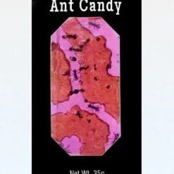 Online Hotlix Ant Candy with Real Black Ants