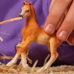Schleich Arabian Foal