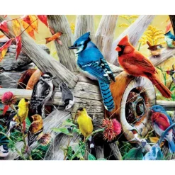 Best MasterPieces Audubon - Backyard Birds - 300 Piece EZGrip Puzzle
