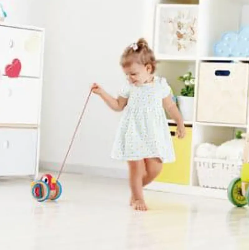 Outlet Hape Baby Bird Pull Along