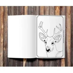 Clearance Legacy Bound Boundary Waters Critters - Create & Color Coloring Book