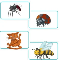Hot Asmodee Concept Kids