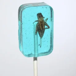 Online Albanese Confectionery Cricket Lick-It Suckers Assorted Flavors