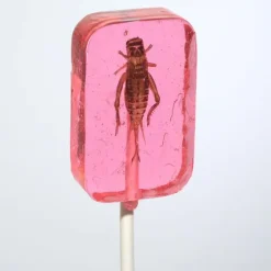 Online Albanese Confectionery Cricket Lick-It Suckers Assorted Flavors