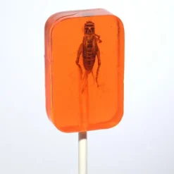 Online Albanese Confectionery Cricket Lick-It Suckers Assorted Flavors