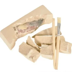 Outlet Adventure Planet Dinosaur Teeth Excavation Kit