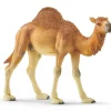 Clearance Schleich Dromedary