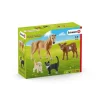 Hot Schleich Farm World Starter Set