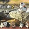 Online BC Mini Fishing Cats Figurines Blind Box - Vol 2