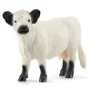 Sale Schleich Galloway Cattle