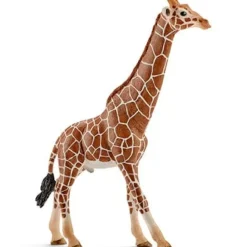 Online Schleich Giraffe, Male