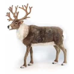 Hansa Nordic Reindeer 47"H