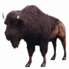 Sale Hansa Plush Buffalo Lifesize 96''L x 72"H