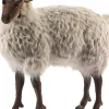 Hot Hansa Sheep Gentle Ewe Ride-on 42''L