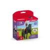 Schleich Horse Club Tori & Princess