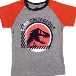 Online Childrens Apparel JURASSIC WORLD Grey Boys 4-7 T-Shirt