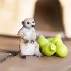 Online Schleich Meerkat Hangout