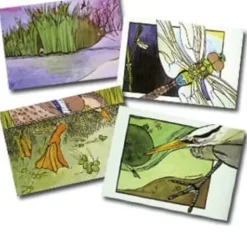Clearance Legacy Bound Northwoods Notecards - Beckie Prange