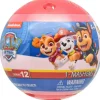 Hot Schylling PAW Patrol Mash 'Ems