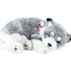 New Perfect Petzzz Alaskan Husky