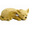 Clearance Perfect Petzzz Chihuahua