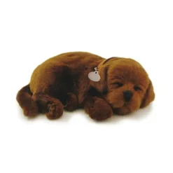 Outlet Perfect Petzzz Chocolate Lab