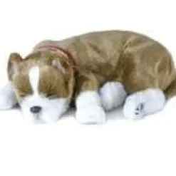 Outlet Perfect Petzzz Pit Bull