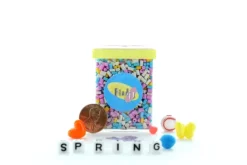 Clearance Find It Games Spring Mini - Find and Seek Scavenger Hunt
