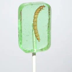 New Hotlix Worm Suckers Assorted Flavors